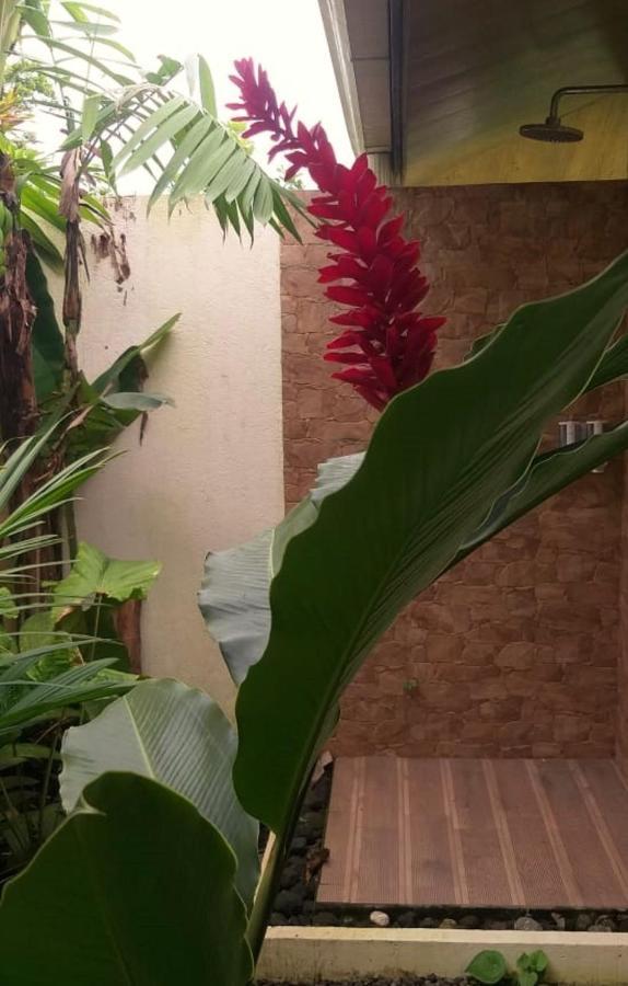 Tropical Suites & Villas La Fortuna ภายนอก รูปภาพ